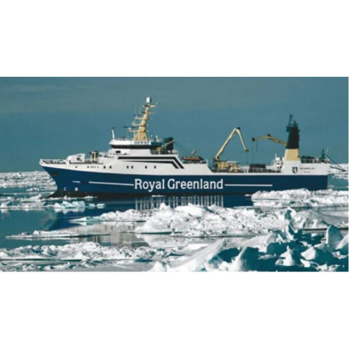 Cod Loins Groenlanda Fara Piele 180gr-220gr 5Kg Premium