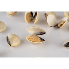 Vongole (scoici) albe 1kg